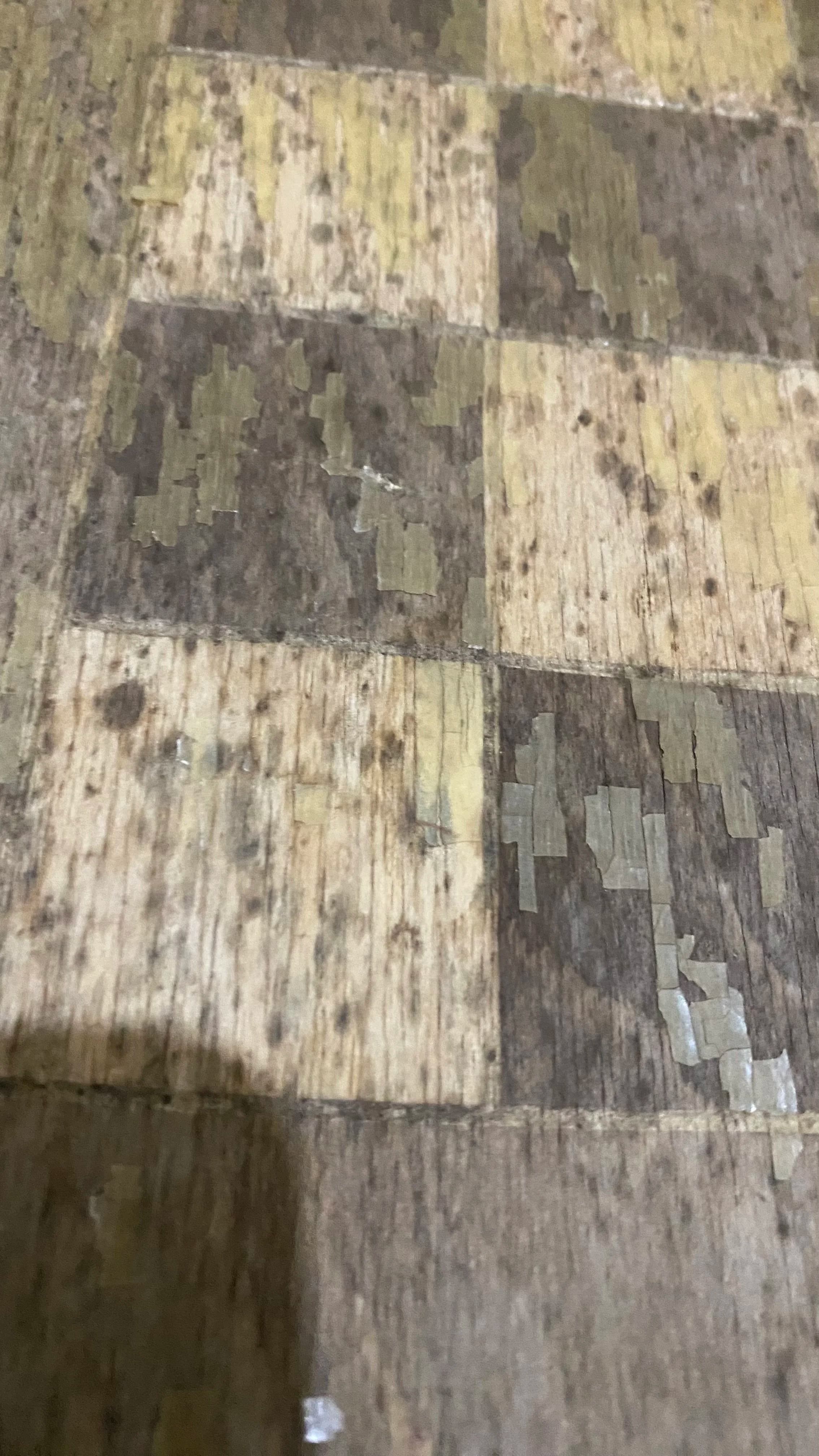 IMG_0560.jpeg