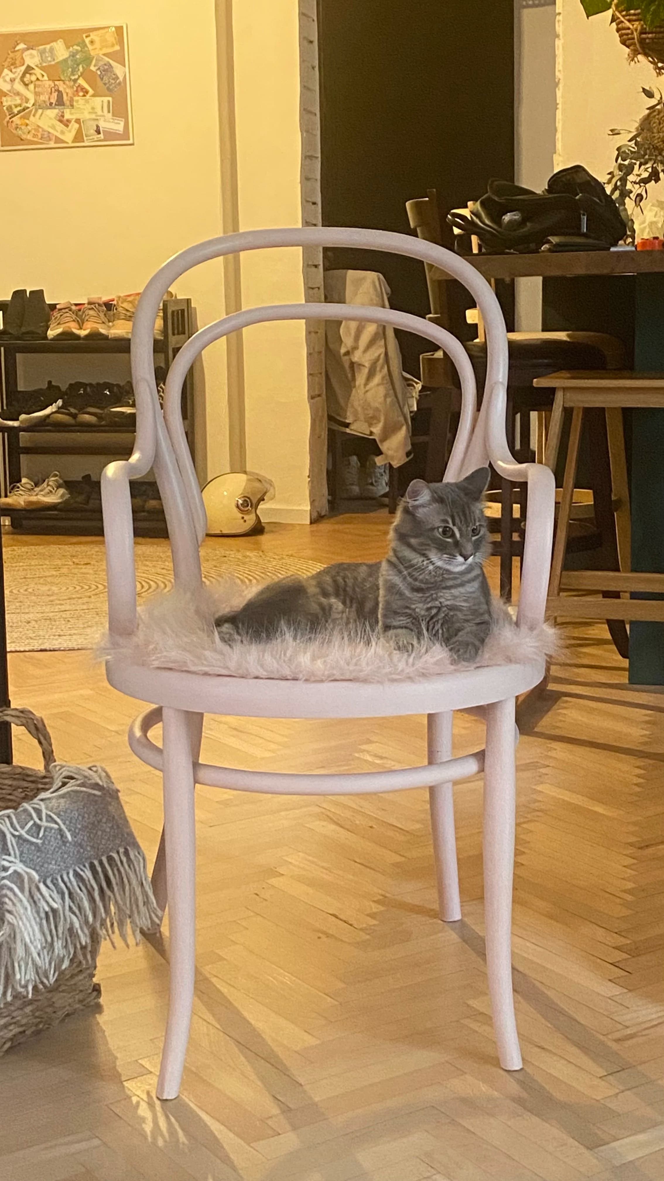 IMG_8484.jpeg