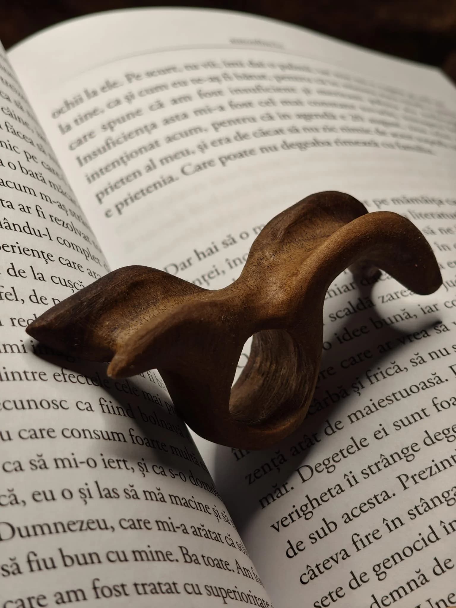 Produse Reciclate Disponibile - inel sculptural nuc - WhatsApp Image 2025-11-06 at 10.53.29 (2).jpeg