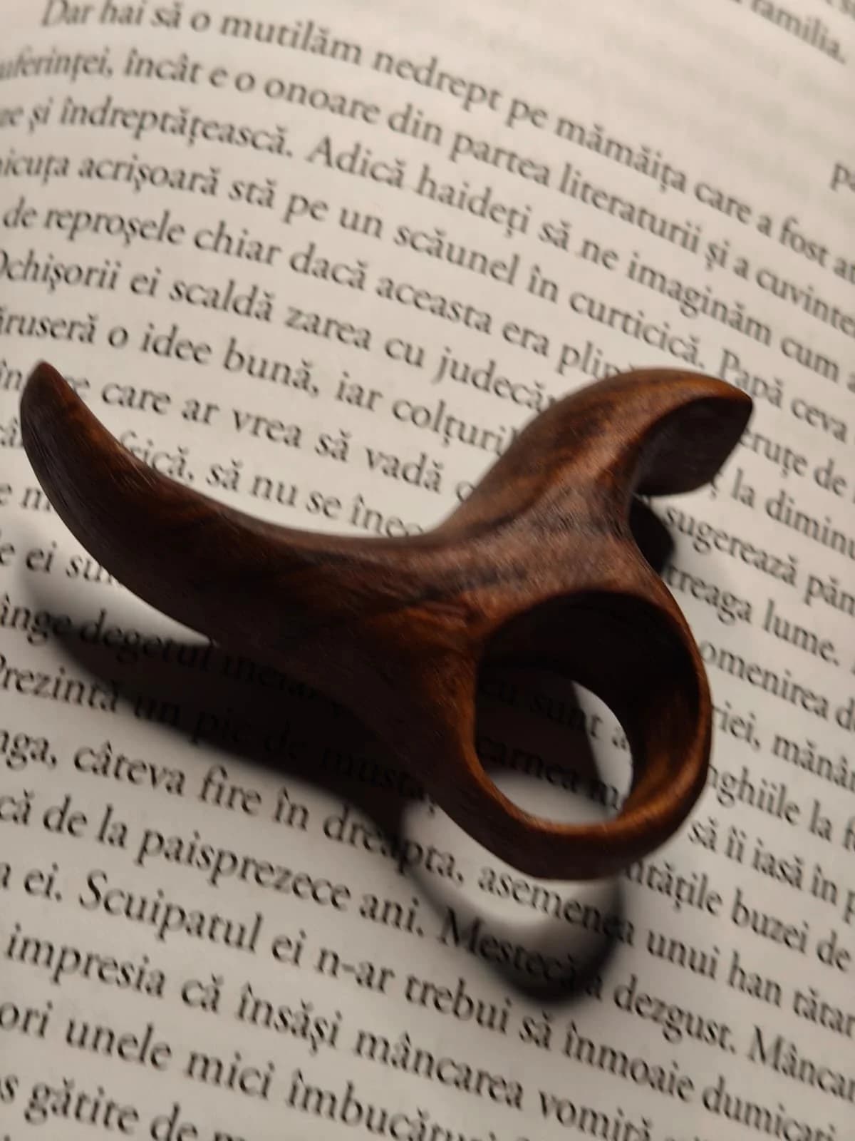 Inel sculptural de lemn