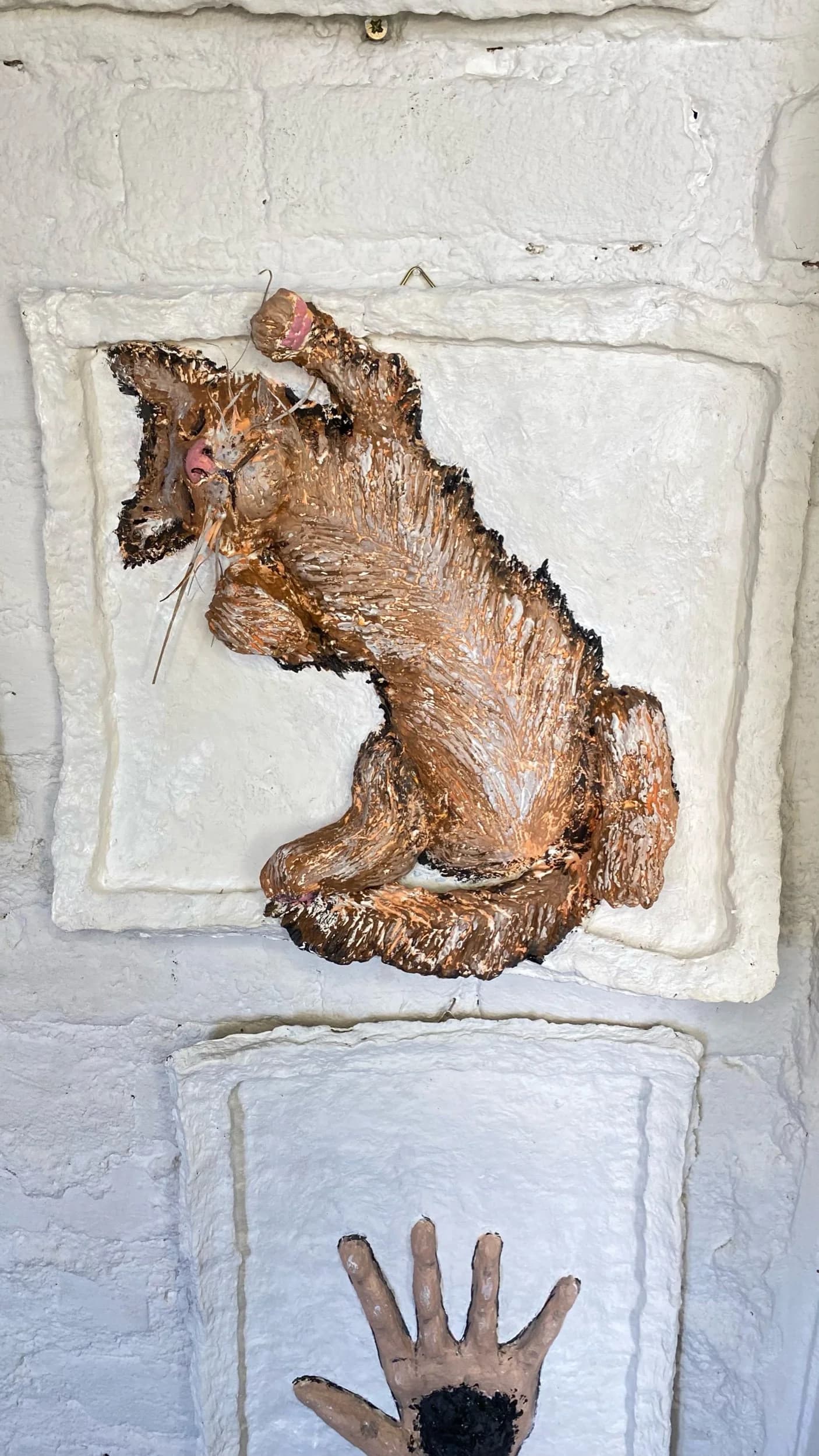 Pisica