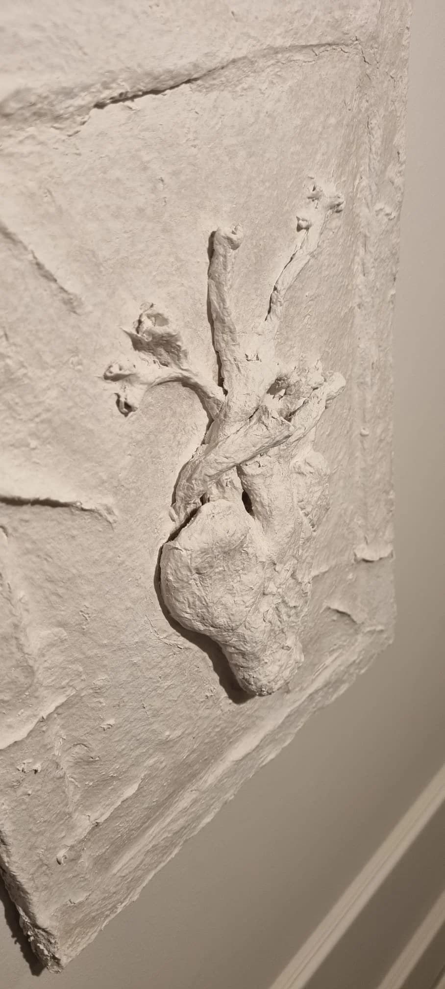 Inima anatomică